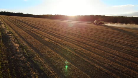 combine cutting wheat and harvesting near a farm during sunrise