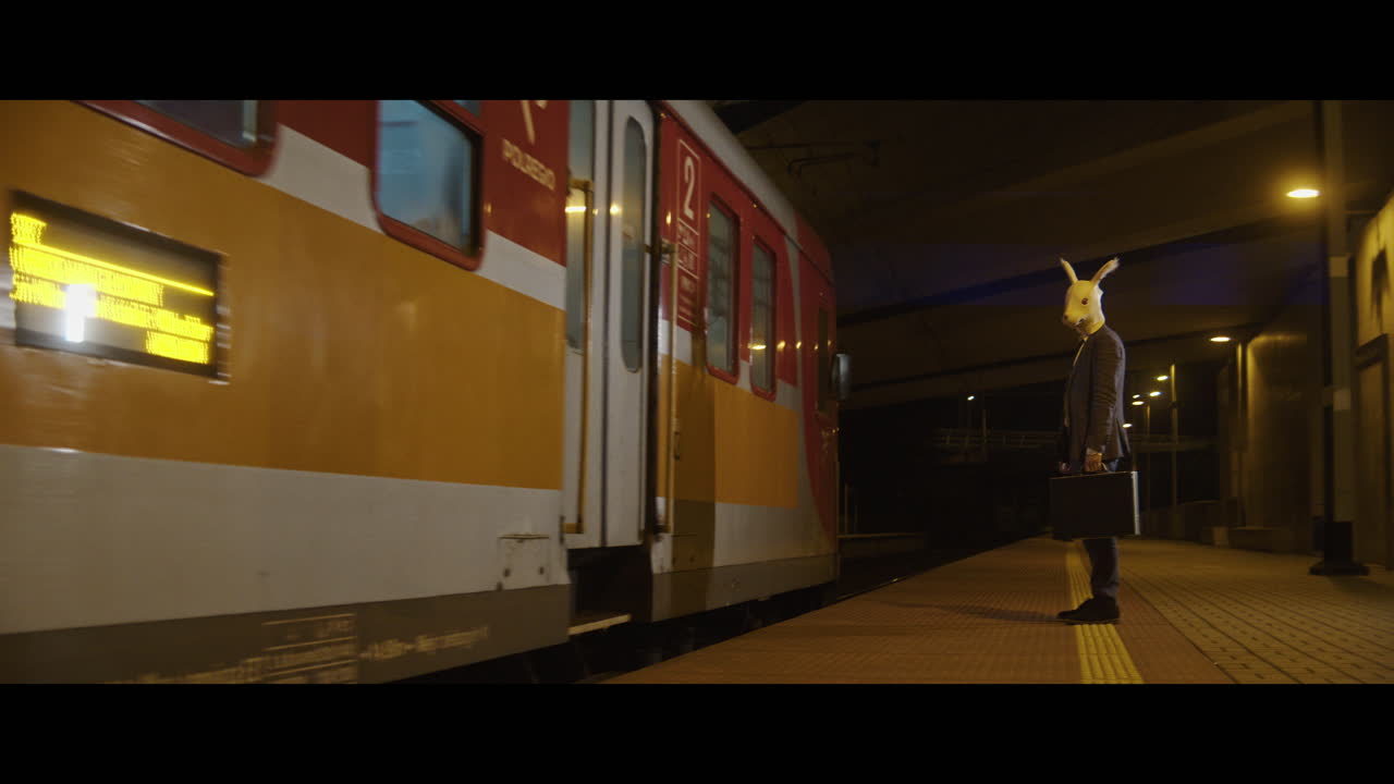 Man in a rabbit head mask