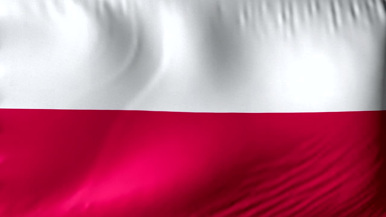 폴란드의 국기 (polish flag) - 폴란드 국기와 뒷면을 는 4k 리얼리즘 발.