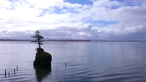 flying by solo tree on rock island in the bay with drone 1080p