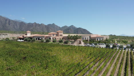 Aerial---vineyard-in-the-Andes-Mountains,-Argentina,-low-wide-dolly-zoom