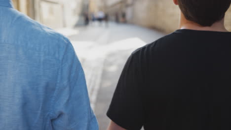 rear view of loving male gay couple holding hands walking along city street