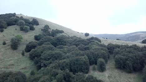 scenic hillside landscape