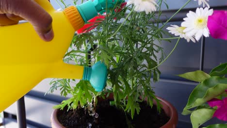 riego de plantas con un riego amarillo