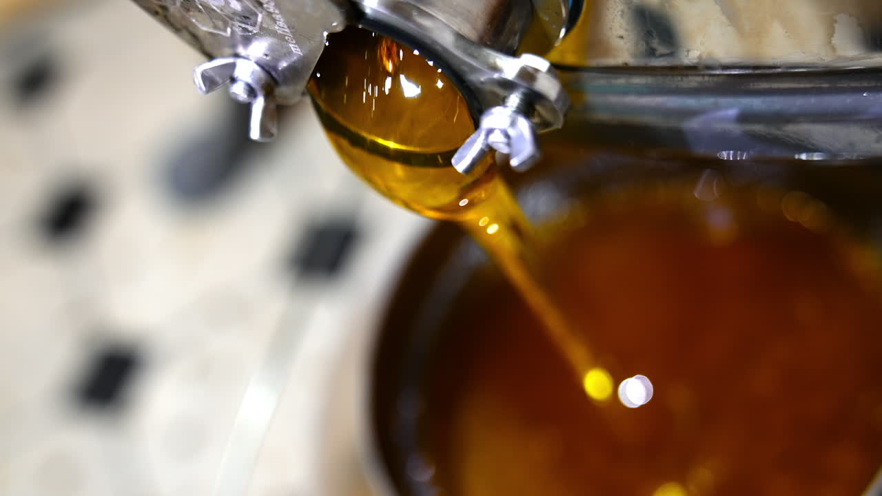 Freshly extracted amber honey flowing from the mouth of a machine. The bucket is filled with organic product. Close up. Top view.