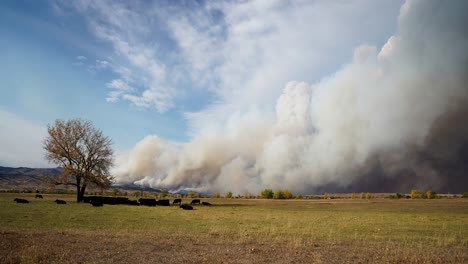 lapso de tiempo de humo de incendios forestales que se eleva desde el fuego de calwood en boulder, colorado