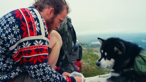 malamute de alaska tendido en la hierba junto a la mochila con un excursionista masculino en noruega