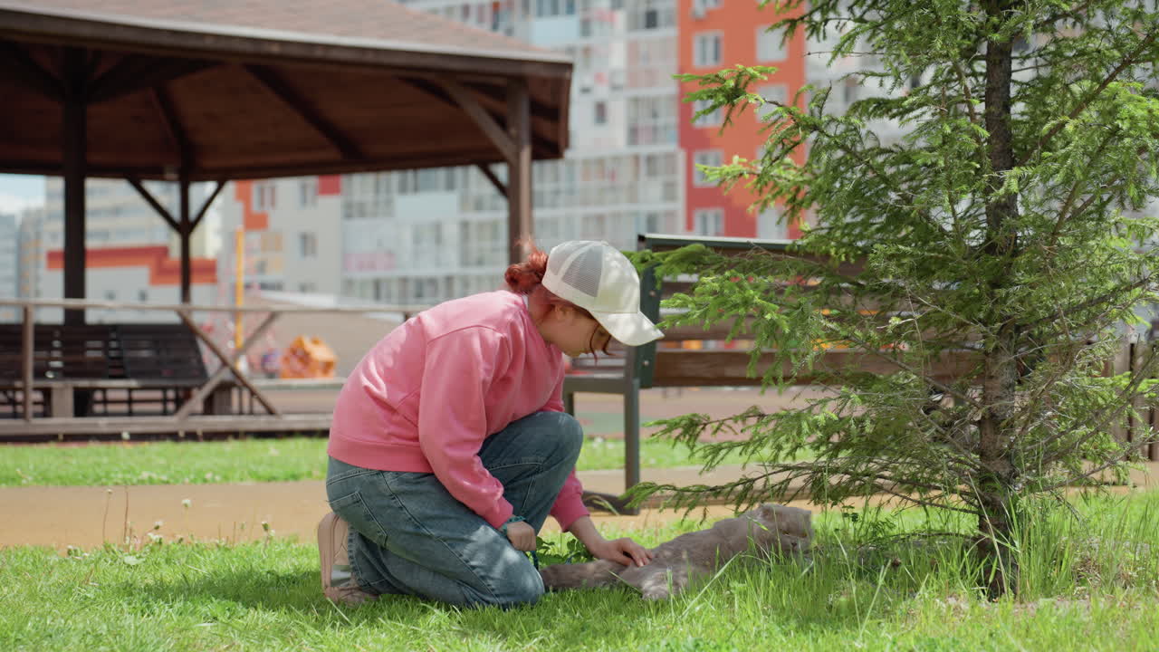 White Woman Helping Small Tree In Park Near Pavilion And Apartments, Trimming And Improving Soil, Gloves And Cap, Community Garden Volunteer Action, Hopeful Restoration And Neighborhood Green