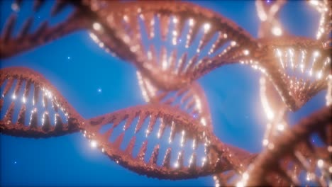 estructura de la animación de doble hélice de adn