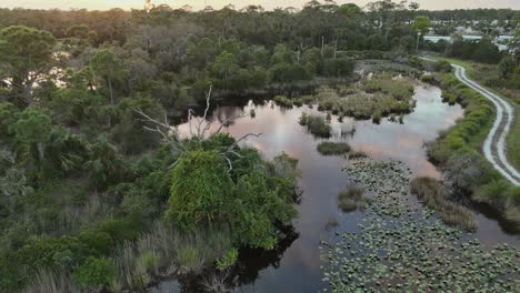 Aerial-reveal-of-Powell-Creek-Preserve