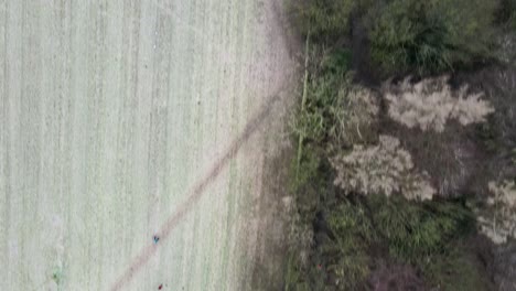 an aerial drone shot flying over a forest and a frozen field