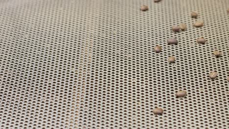 explore the intricate process of coffee roasting showcasing the transformation of raw beans into an aromatic drink.