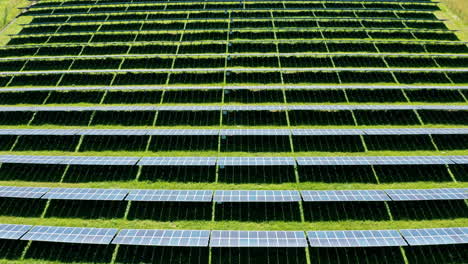filas de paneles solares en un gran campo verde disparado desde arriba en un día soleado