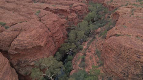Aerial-View-Of-Kings-Canyon-With-Green-Trees-In-Gorge-In-Northern-Territory,-Australia