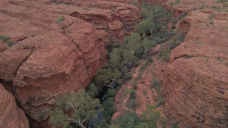 aerial view of kings canyon with green trees in gorge in northern territory, australia