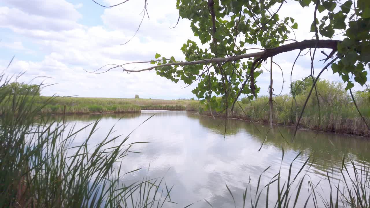 콜로라도 덴버의 록키 마운틴 아모리에서 메리 호수 기슭의 갈대를 가로지르는 팬트럭