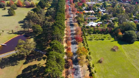 Drone-Volando-Sobre-La-Carretera-Principal-De-La-Avenida-De-Honor.