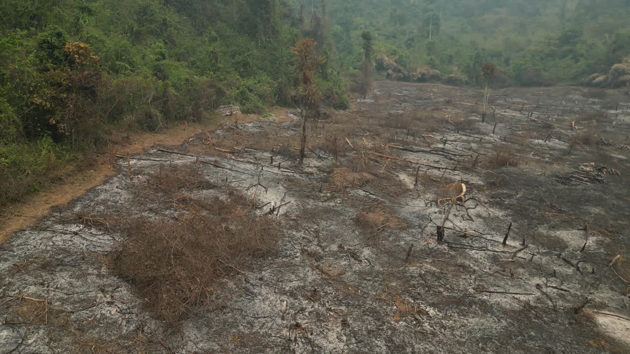 Aerial dramatic scene over a burnt forest in Laos, where only ashes remain