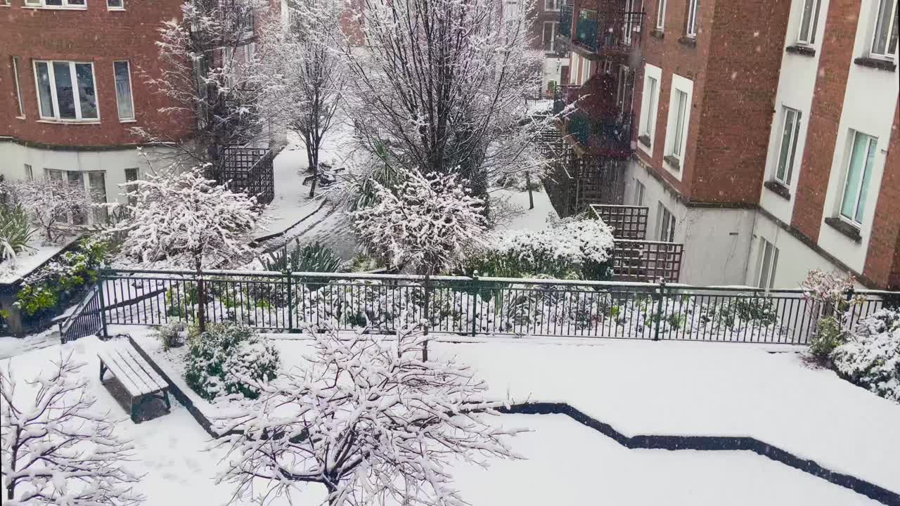 Una rara ripresa statica in 4K di neve che cade su un piccolo parco a Dublino, Irlanda, circondato da appartamenti.