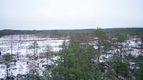 wide pan shot of viru bog from observation tower in winter