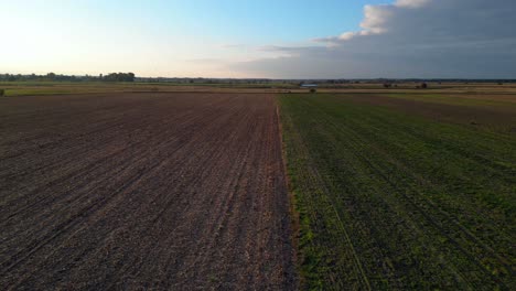 fertile plain with cultivated fields, a river and a forest in the distance, bathed in the warm light of the setting sun. great aerial view flight