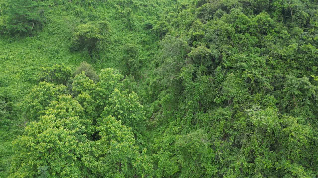las serenas cimas de las montañas en la selva del norte de tailandia