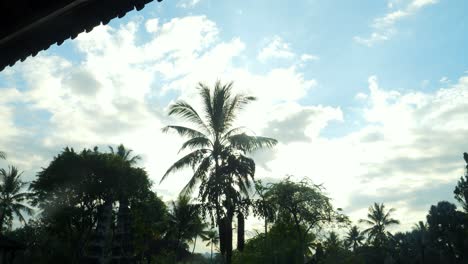 slow-motion-revealing-shot-of-a-beautiful-pool-at-dawn-in-bali-indonesia-overlooking-the-green-garden-with-trees-and-palms-during-a-great-trip