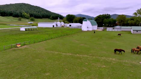 aerial pullout over horse barns near mountain city tennessee