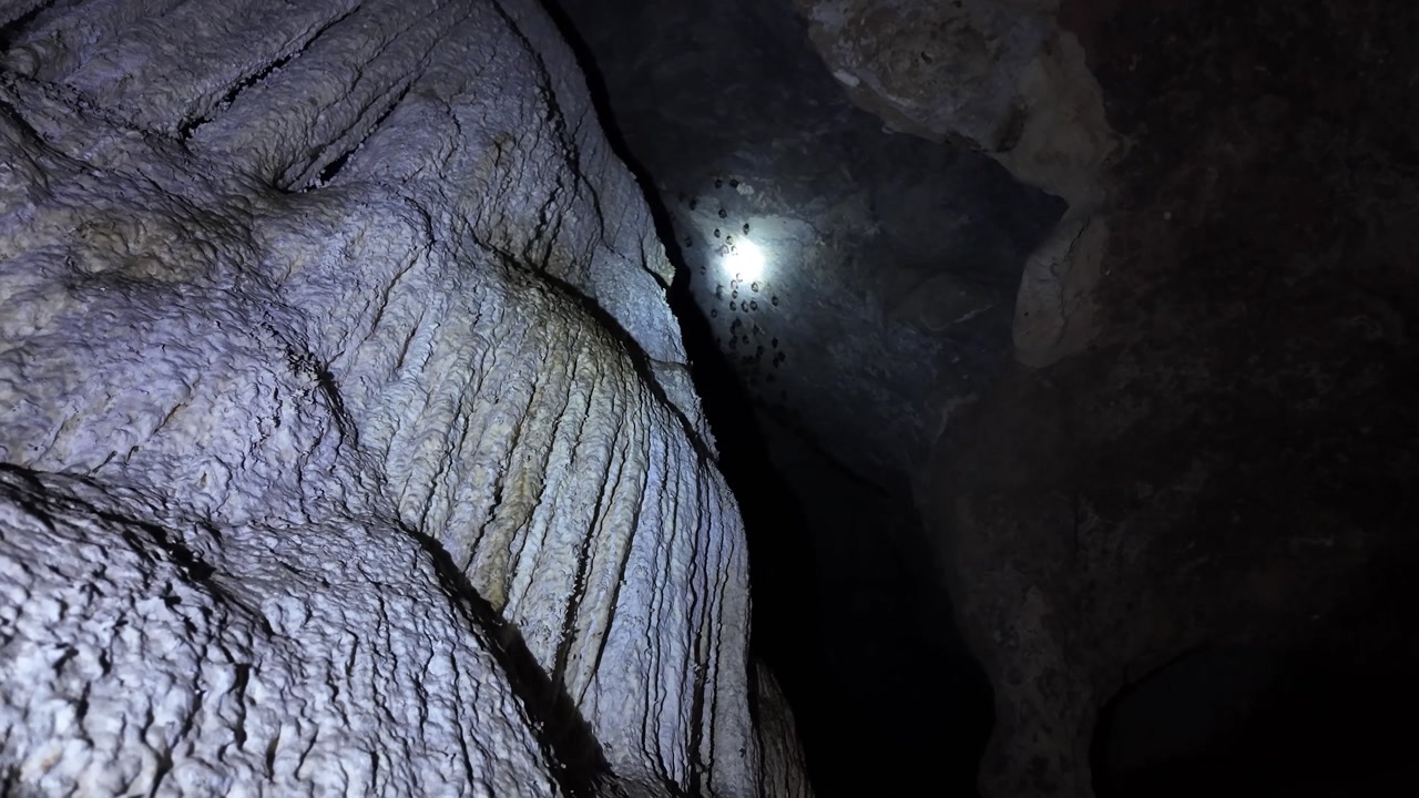 Inside cave in Khao Sok National Park Thailand with bats flying toward light opening surrounded by textured rock formations creating dramatic wildlife scene