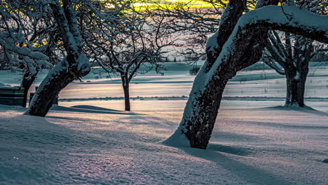 Zeitraffer-Der-Gefrorenen-Landschaft-Der-Baumrinde,-Die-Im-Winter-Mit-Dickem-Schnee-Bedeckt-Ist