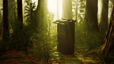 Old-wooden-beehive-in-forest-in-fog