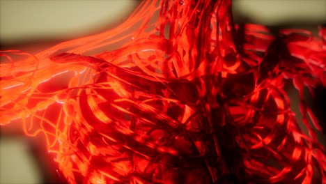 inspection of blood in the blood vessels of the circulatory system