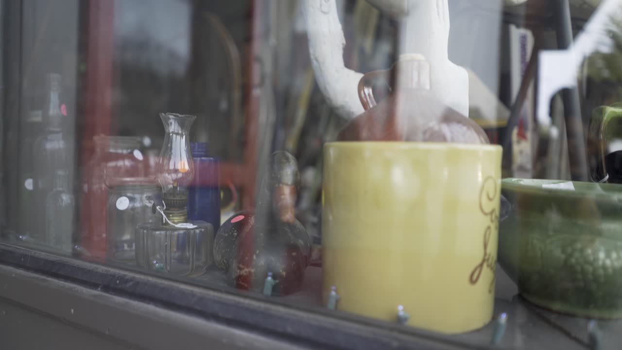 Carousel Horse in Antique Store Window