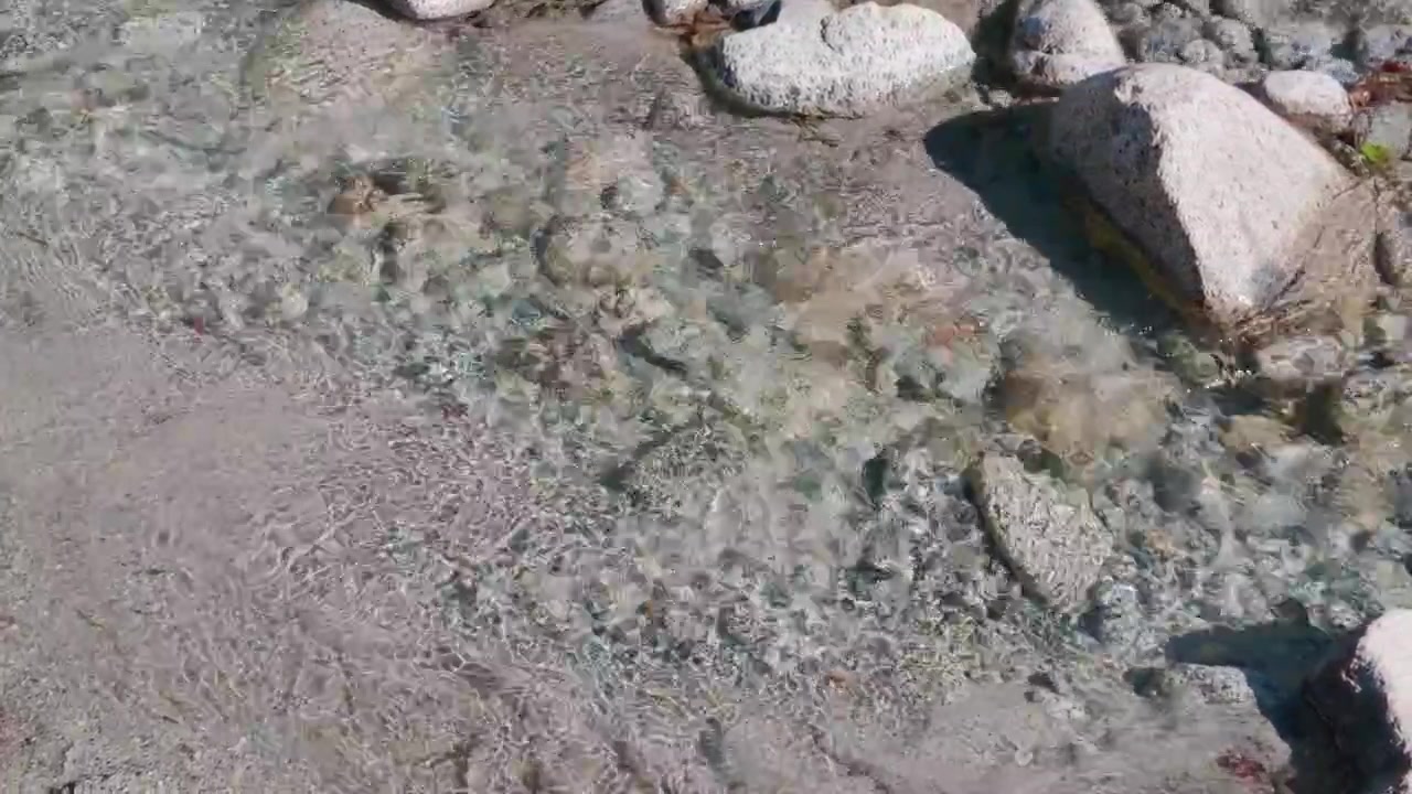 Acqua di fiume, pietre di montagna, rocce, ripresa con stabilizzatore gimbal. Vista ravvicinata dall'alto che si muove da sinistra a destra, seguendo un ruscello cristallino che scorre su ciottoli.