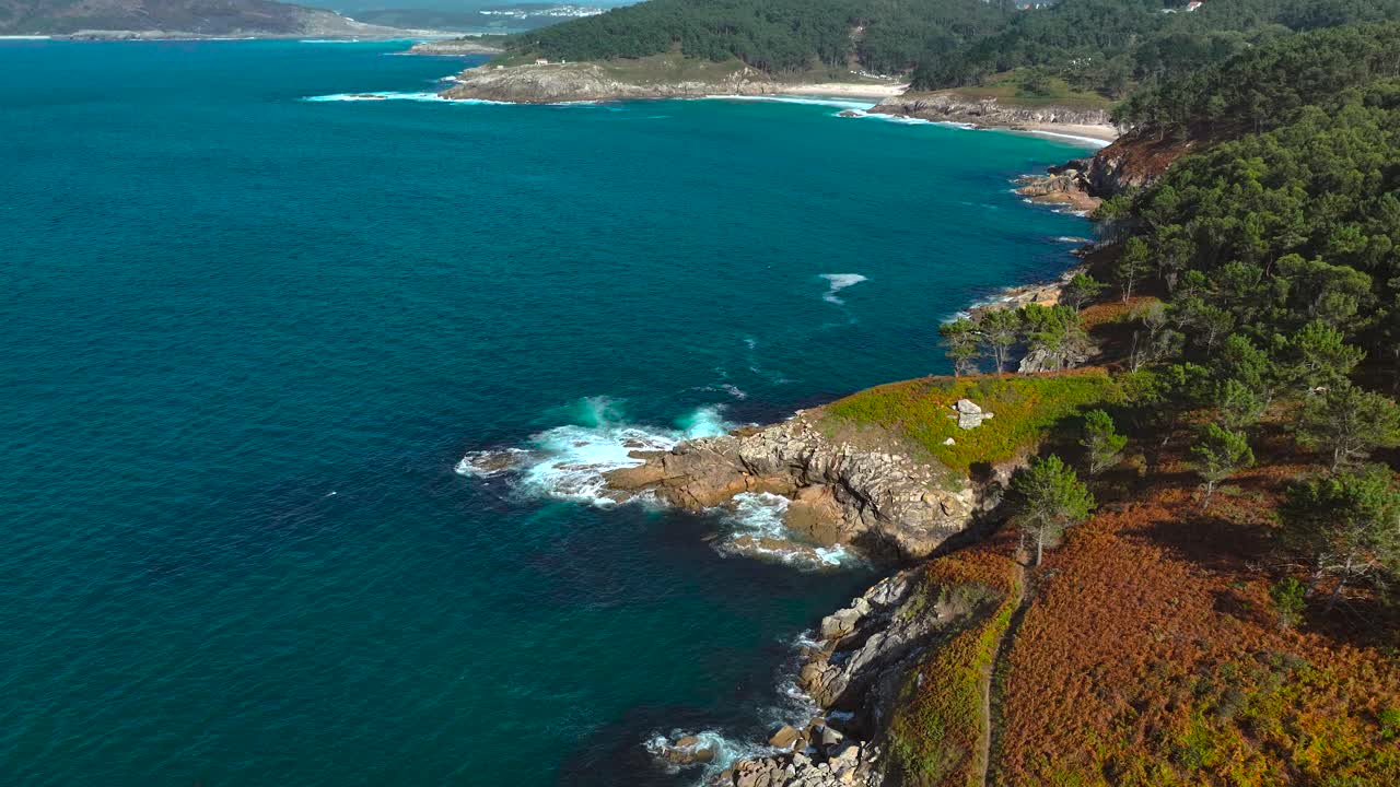 Rocky Coast Covered In Vegetation On A Sunny Day. Aerial Tilt-up Shot