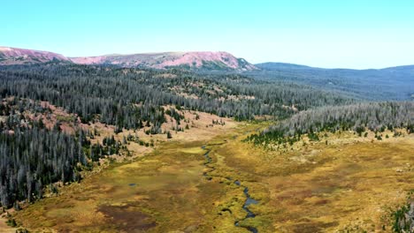 aerial drone nature landscape tilting up shot of a small river winding through a large meadow surrounded by pine trees up in the high uinta national forest on the red castle lake trail in wyoming