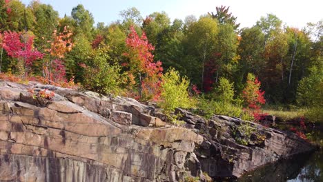 Drone-view-of-the-edge-of-the-forest-with-a-sharp-cliff