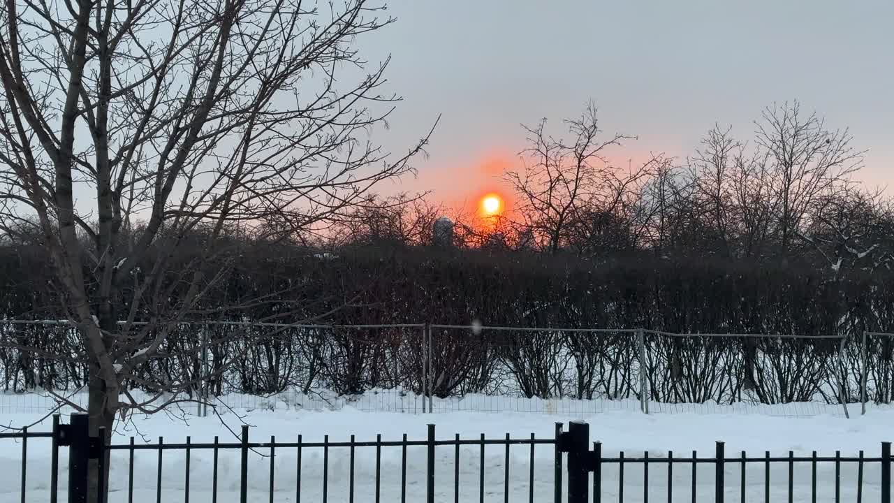 Blidt snefald ved solnedgang over et roligt vinterlandskab