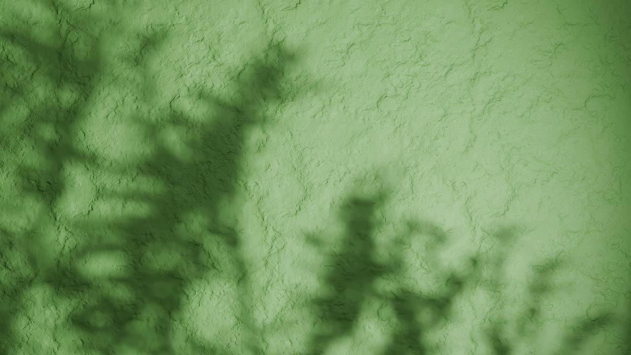 Shadow of plant branches on textured green plaster wall. Minimal nature-inspired background with soft natural light and rough stucco surface. Design for wallpaper, banner, vertical