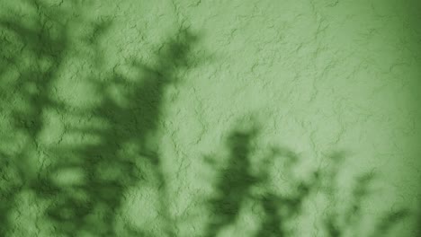 shadow of plant branches on textured green plaster wall. minimal nature-inspired background with soft natural light and rough stucco surface. design for wallpaper, banner, vertical