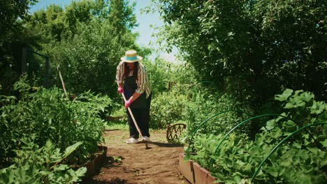 mujer jardinería en un jardín de verduras