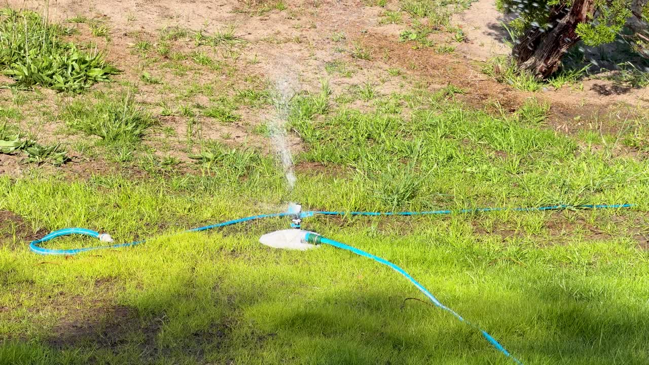 Ampia inquadratura statica di un irrigatore rotante che annaffia l'erba verde sotto la luce intensa del sole di mezzogiorno