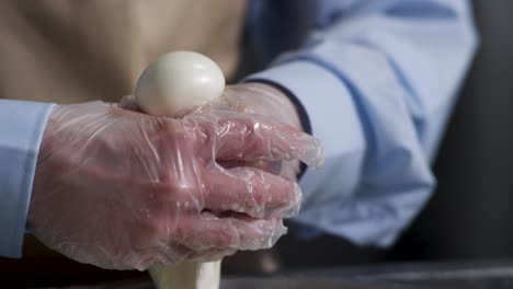 fabricación de queso mozzarella