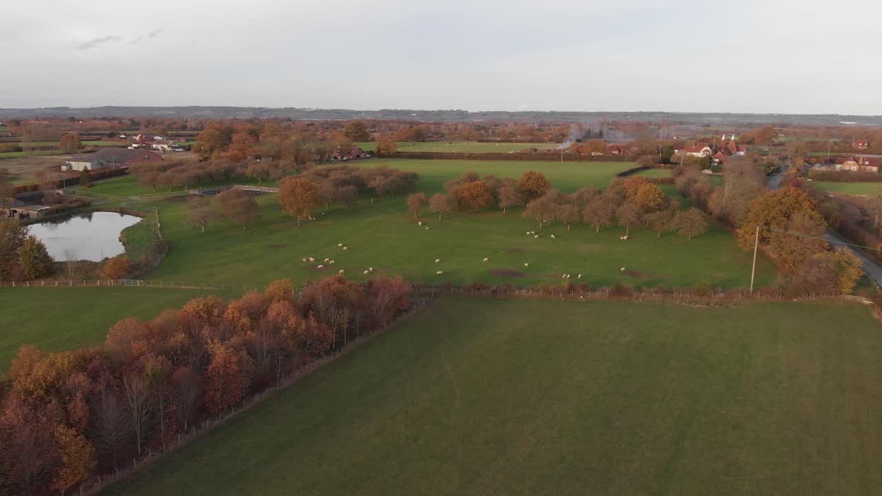 vista otoñal de campos con ovejas, lago, árboles con hojas de naranja y un camino