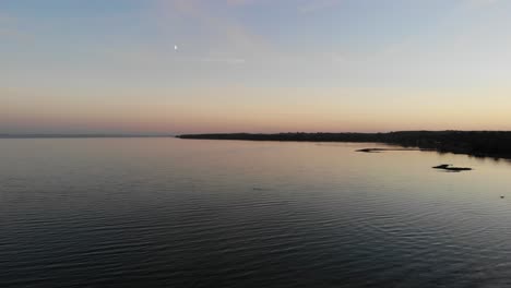 Aerial-view-flying-across-the-sea-in-Nykøbing-Bugt-with-swimming-and-flying-seabirds-in-a-beautiful-sunset