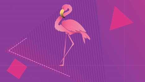 Animation-of-flamingo-over-violet-background-with-geometrical-shapes