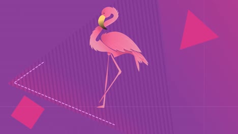 animación de flamenco sobre fondo violeta con formas geométricas