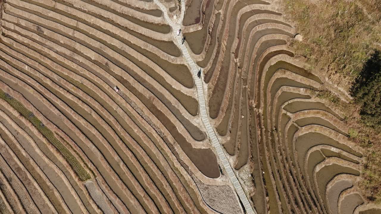 Drone top-down view shows dry rice terraces and winding stone paths in Longsheng, Guangxi, China