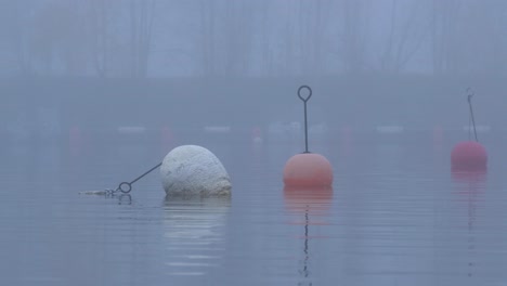 Weiße-Und-Rote-Anlege--Und-Signalbojen-An-Einem-Nebligen,-Kalten-Hafen---Totale