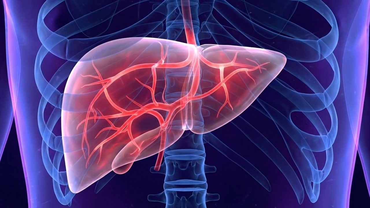 Glowing digital medical scan of human liver